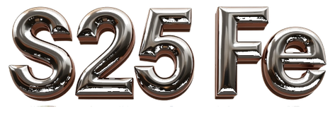 s25 fe logo